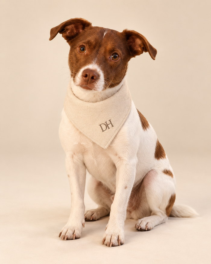 DEVON HALL Pet Bandana on Devon's dog — styling mockup 1