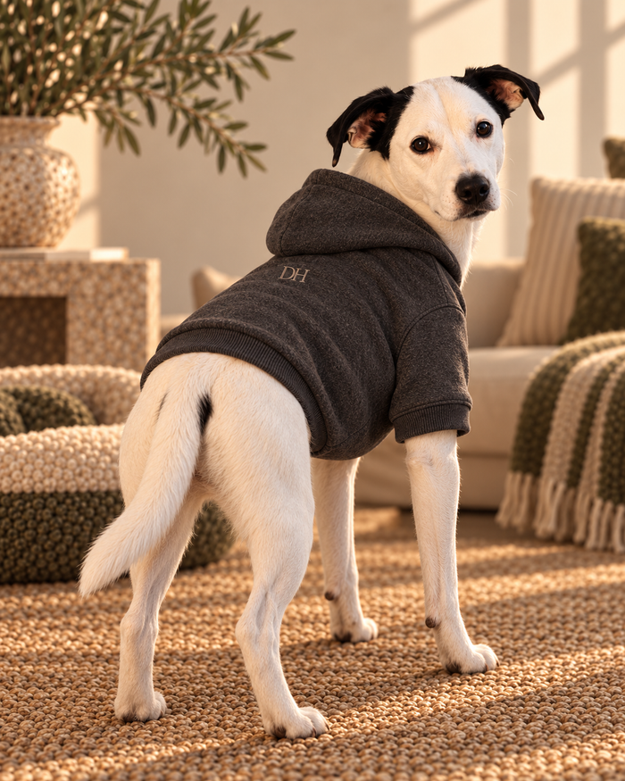 DEVON HALL Pet Hoodie on Devon's dog — styling mockup 1