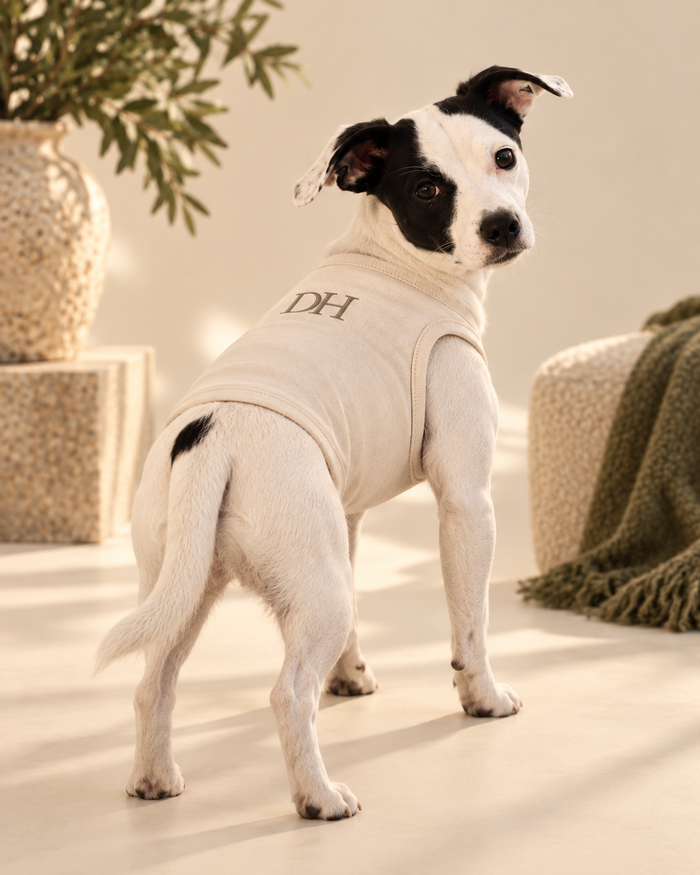 DEVON HALL Pet Tee/Tank on Devon's dog — styling mockup 1