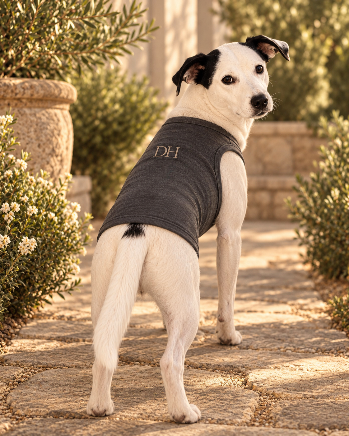 DEVON HALL Pet Tee/Tank on Devon's dog — styling mockup 4